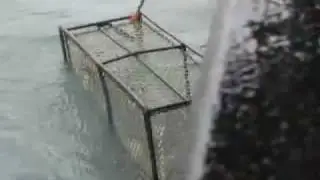 Bob and Randy get up close and personal with the crab