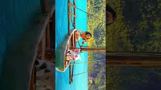 #cartoon #graphics #youtube#viral#viralshorts#shorts