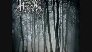 Hydra- Eternal Life