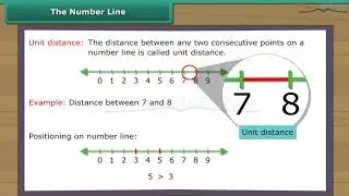 Class 6 Maths - What are Whole Numbers? With Examples