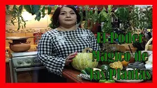 El Poder Mágico de las Plantas