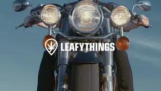 Friday the 13th at Port Dover Beach with Leafythings 🤟🌱 #FreeWeed
