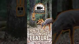 How to use the ActionShot Feature | Stay Wise Wednesday #staywise