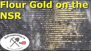 Gold Prospecting on the North Saskatchewan River