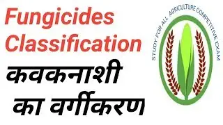 Fungicides classification