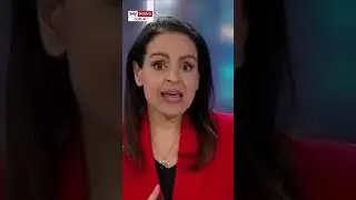 &lsquo;Dim-witted&rsquo; MSNBC host &lsquo;doesn&rsquo;t use the term illegal immigrant&rsquo;