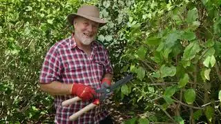 The Garden Gurus Featuring WOLF-Garten | Hedge Shears
