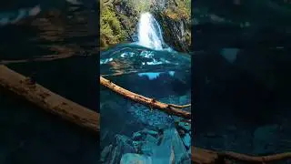 Amazing beauty of Nature || underwater nature whatsapp status || underwater nature photography