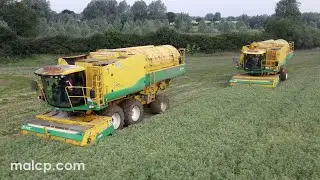 Harvest 2022: Anglian Pea Growers vining peas in Easton, Suffolk. Ploeger PMC GP 1189 1089 harvester
