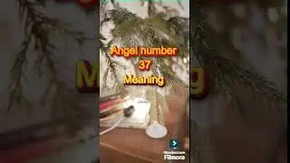Angel Numbers 37 Meaning #angel #shorts #youtubeshorts #trendingshorts #viralshorts #ytshorts #short