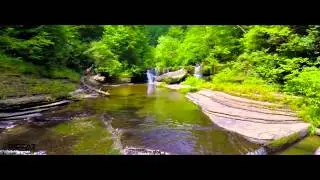 Bryan Wibberley -Thriving in Nature