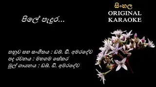 Pile Pedura Henata Aragena Enawa - පිලේ පැදුර - KARAOKE - WD Amaradewa/Mahagama Sekara/WD Amaradewa