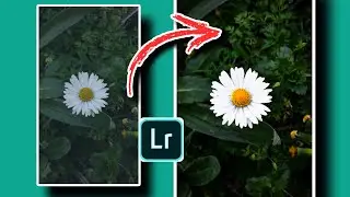 Photo Editing Tips and Tricks  Professional Editing Tutorial #photoediting #longvideo #moody #green