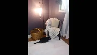 User Review: Ophanie Ultra Soft Fluffy Area Rugs for Bedroom, Luxury Shag Rug Faux Fur Non-Slip...