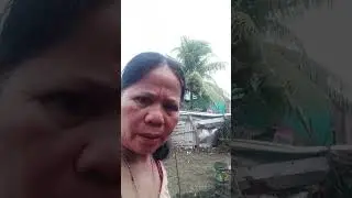 Ang hirap mag bungkal Ng lupa  tataniman Ng petchay at mustasa 