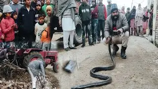 बरसों साल पुराने सांप ने गांव में मचाई दहशत, सच्चाई जानने के लिए देखें पूरी वीडियो....