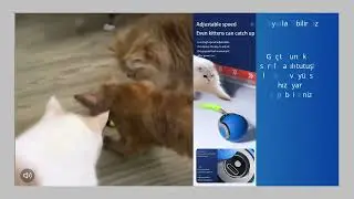 Akıllı Yuvarlanan Kedi Fare Oyuncağı // Smart Rolling Cat Mouse Toy