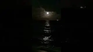 wolf moon Adam Phillips from Fort lauderdale #wolfmoon #fullmoon fullmoon