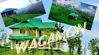 Green Hill Estate Resort Vagamon|Uluppuni hotel Resort|Wagamon hills|Swimming pool|Tea Estate|part 1
