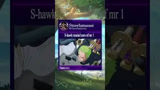 zoro sees mr 1 in s Hawke
