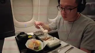 Vlog: LAX to Tokyo HND on ANA Business Class (The Room) NH105