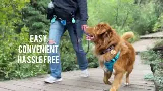 Aspen Belt Bag For Dog Owners by Rocky Mountain Dog
