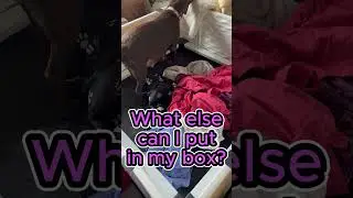 The Fascinating Nesting Habits of Pregnant Dogs Revealed!