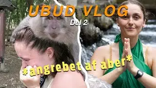 UBUD VLOG (del 2): Monkeyforest og Tirta Empul tempel