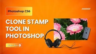 How to Use Clone Stamp Tool in Photoshop CS6 | Complete Tutorial for Beginners