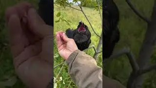 Не думал что получится, а он&hellip;