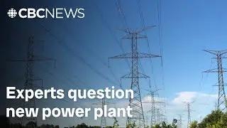 Experts question new power plant