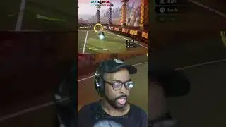 Trying To Catch The Snitch Harry Potter Quidditch Champions