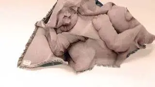 Alpha60 x Patricia Piccinini