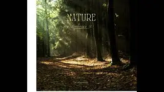 Green and White Nature Life Coach Quote Instagram Story