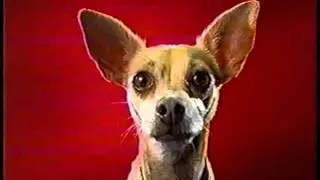 2000 Taco Bell Dog in a Wild Spicy Chalupa's Commercial