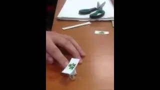 Frog Jump Activity
