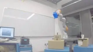 Kuka demo: Dircol + Hand grasping + Torque control