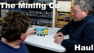 The minifig co haul