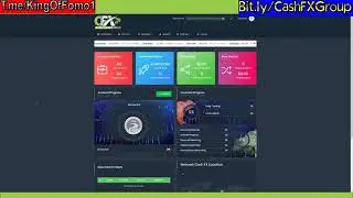 CashFX Forex Group Trading Algorithm System Passive Return Daily