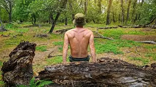 Starting Calisthenics in the Forest 🌲 | Tree Log Squats + Natural Dips