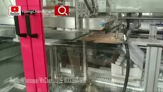 Carton Wrap Around Sealing Packaging Machine | Young Chance Pack