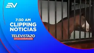 Polic&iacute;as encontraron caballos en un operativo en Milagro | Televistazo | Ecuavisa