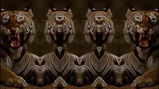 Clan of Tiger all bosses (but it&rsquo;s fast asf)