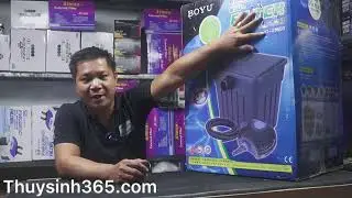 The Best Koi Pond Filter System Boyu YT 25-Giải Pháp Lọc Cho Hồ Koi Khi Xây Hồ Mà Chưa Xây Lọc