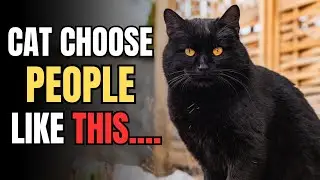 What Kind of People Do Cats Love the Most ?