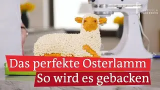 Osterlamm backen:  Das perfekte Lamm mit Buttercreme zu Ostern + Rezept
