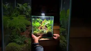 Необычный куб.