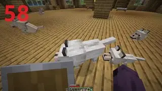 Getting more dogs | Minecraft Survival Episode 58
