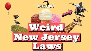 Weird New Jersey Laws 🚓 Speed Facts