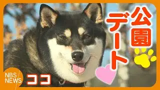 会いたくてそわそわ　楽しい公園デート